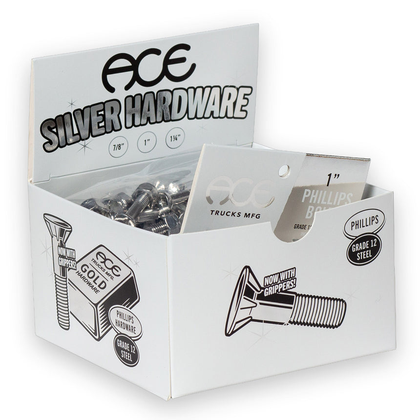 ACE AF1 1" Phillips Silver Skateboard Hardware