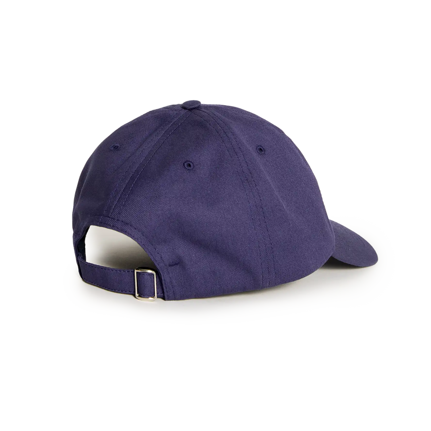 Polar Sai Cap - College Logo