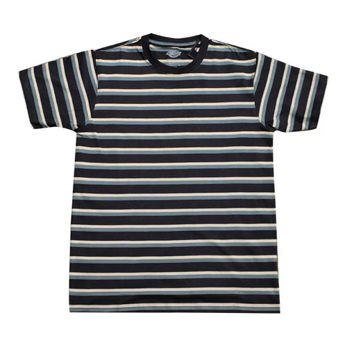 Dickies Striped T-Shirt Black / Green